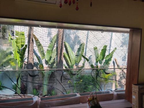 PHOTO-2020-02-03-13-07-01