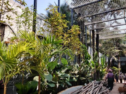 PHOTO-2020-02-03-13-07-02