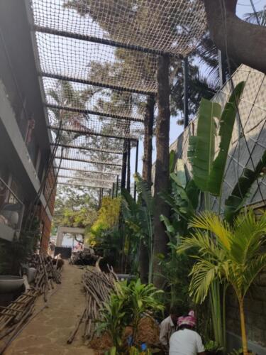 PHOTO-2020-02-03-13-07-05