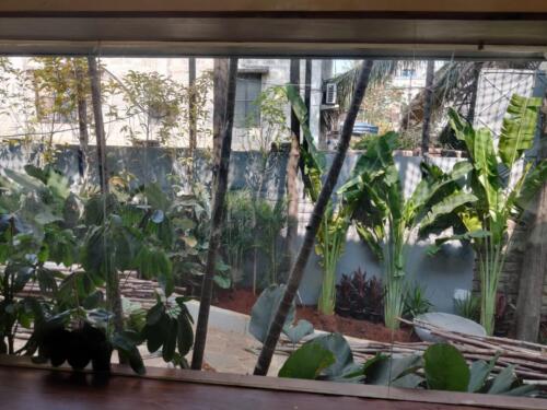 PHOTO-2020-02-03-13-07-07 (1)