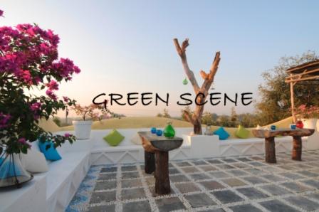 Farm-Pebble mosaic carpet