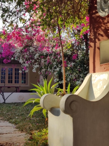 PHOTO-2020-02-25-19-11-06