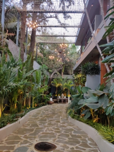 PHOTO-2020-02-29-20-26-55